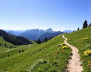 Dornbirn: Welche Wanderungen sind empfehlenswert?