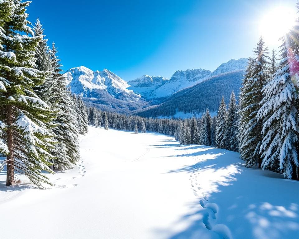 beste Winterwanderungen in Lech am Arlberg